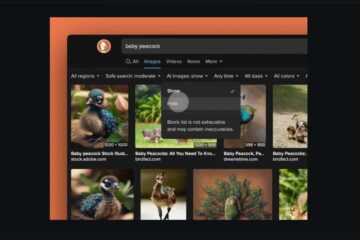 DuckDuckGo imágenes IA ocultar búsqueda
